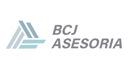 Bcj Asesor&iacute;a