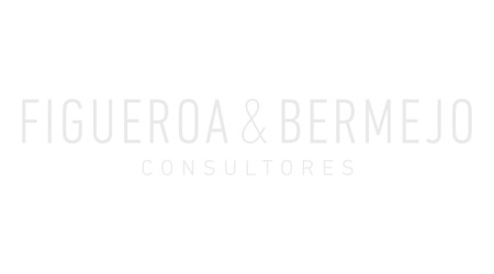 Figueroa y Bermejo Consultores