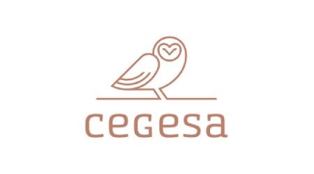 Cegesa Asesores y Auditores