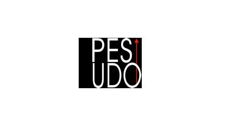 Pesudo Asesores y Consultores