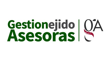 Gestion Ejido Asesoras